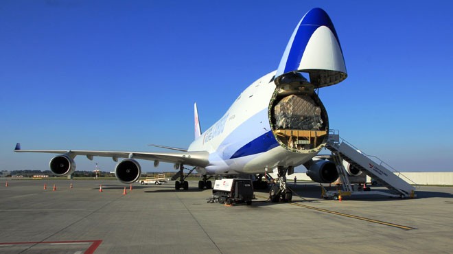 AŞININ DÜNYAYA DAĞITIMI İÇİN 8 BİN JUMBO JET GEREKECEK