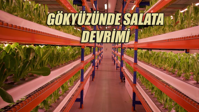 DÜNYANIN EN BÜYÜK DİKEY ÇİFTLİĞİ