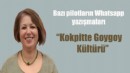 ÖZLEM ÇAPAN ÖZEREN YAZDI…KOKPİTTE GOYGOY KÜLTÜRÜ