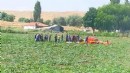 PİLOT YASAÖZDEN HAYATINI KAYBETTİ