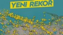 TÜRK HAVA SAHASINDA REKOR